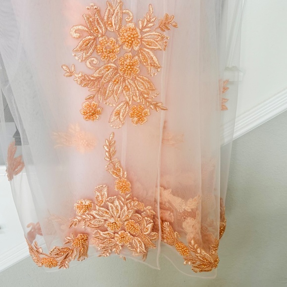 NEW Beautiful net reception saree  with saree jacket ( blouse) - Picture 12 of 16